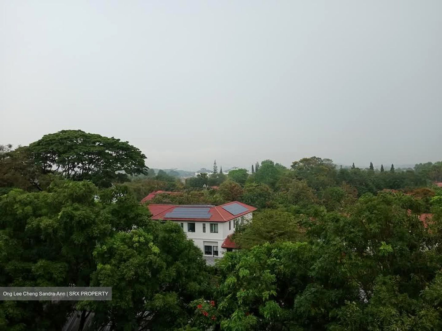 Holland Court (D10), Apartment #568199771
